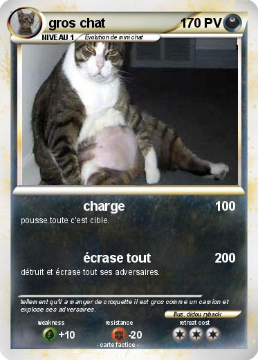 Pokemon gros chat