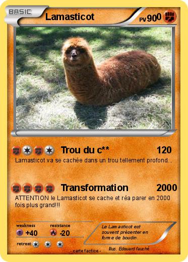 Pokemon Lamasticot                        0