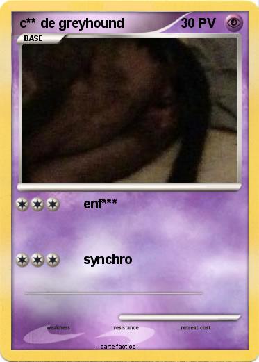 Pokemon c** de greyhound
