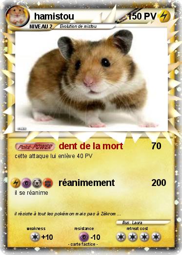 Pokemon hamistou