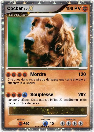 Pokemon Cocker