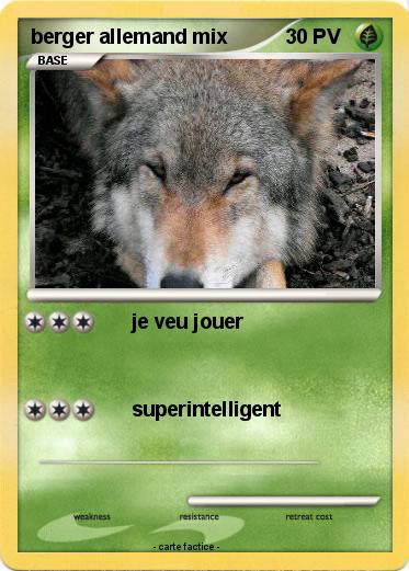 Pokemon berger allemand mix