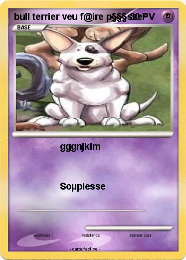 Pokemon bull terrier veu f@ire p§§§sser