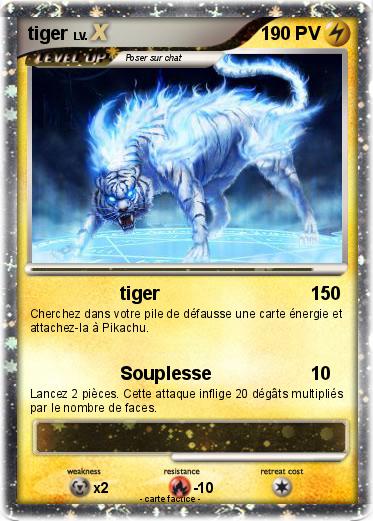 Pokemon tiger