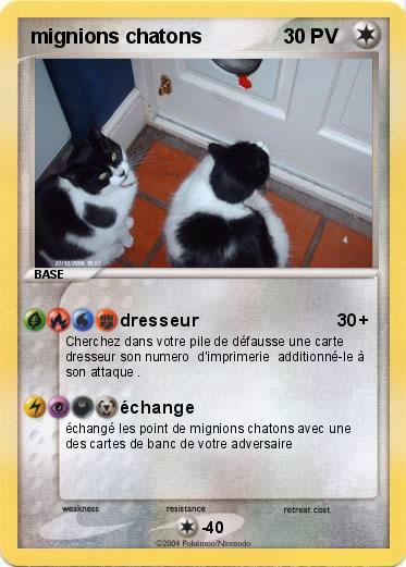 Pokemon mignions chatons