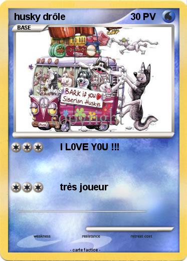Pokemon husky drôle