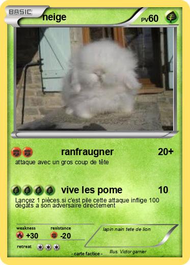Pokemon neige