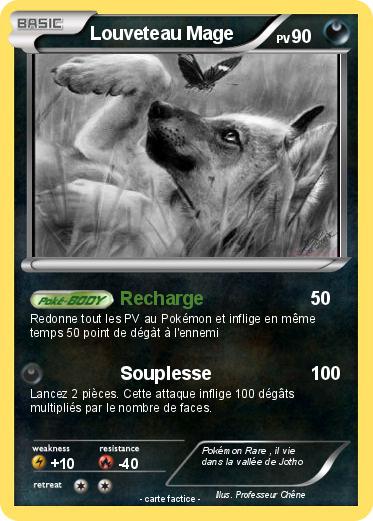 Pokemon Louveteau Mage