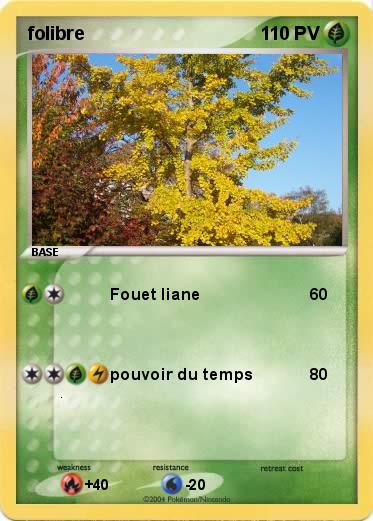 Pokemon folibre