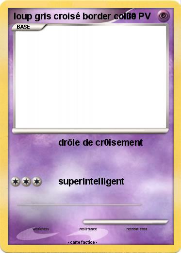 Pokemon loup gris croisé border collie