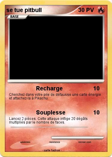 Pokemon se tue pitbull