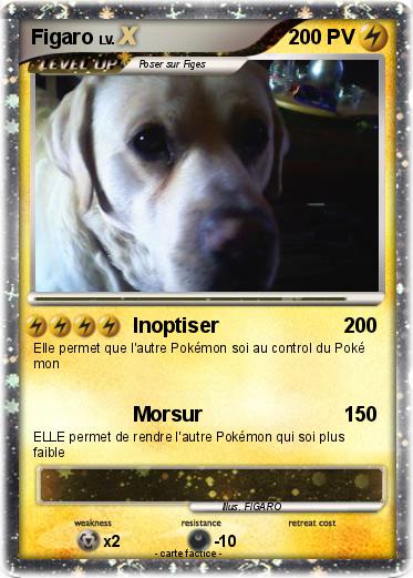 Pokemon Figaro