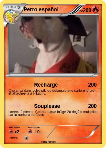 Pokemon Perro español