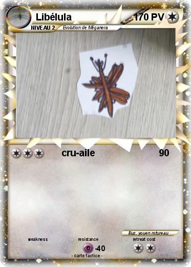 Pokemon Libélula