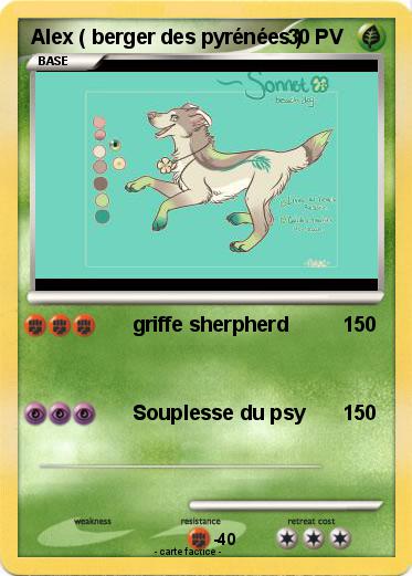 Pokemon Alex ( berger des pyrénées )