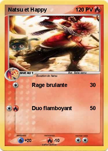 Pokemon Natsu et Happy