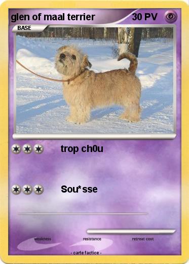 Pokemon glen of maal terrier