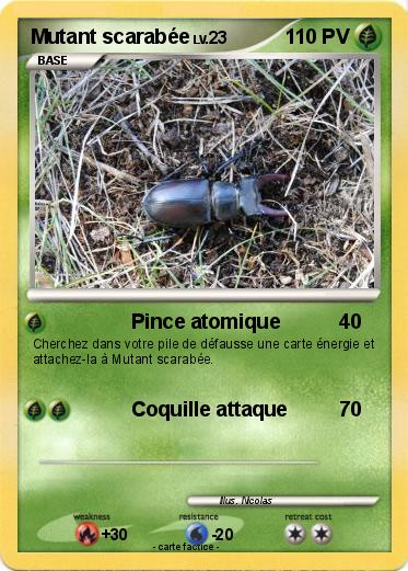 Pokemon Mutant scarabée