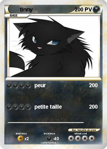 Pokemon tinny