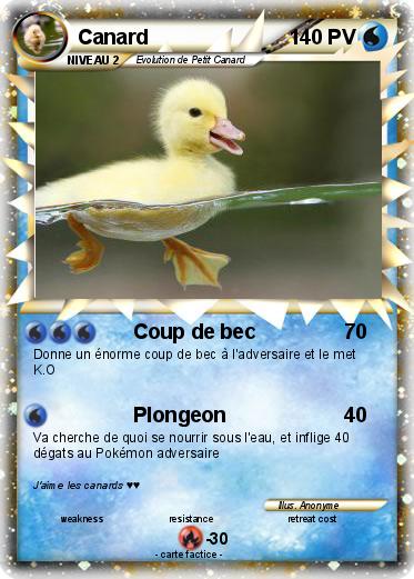 Pokemon Canard