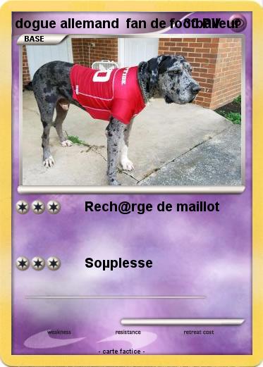 Pokemon dogue allemand  fan de footballeur