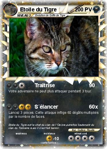 Pokemon Etoile du Tigre