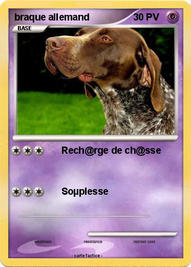 Pokemon braque allemand