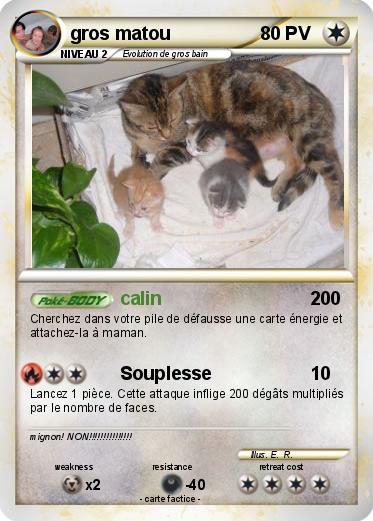 Pokemon gros matou
