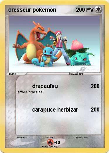 Pokemon dresseur pokemon