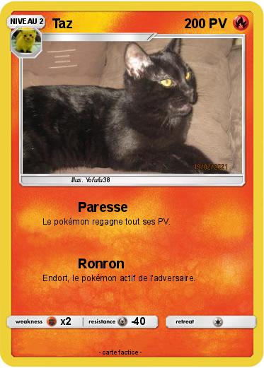 Pokemon Taz