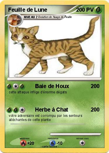 Pokemon Feuille de Lune