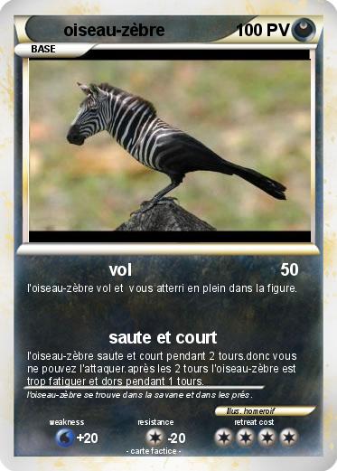 Pokemon oiseau-zèbre
