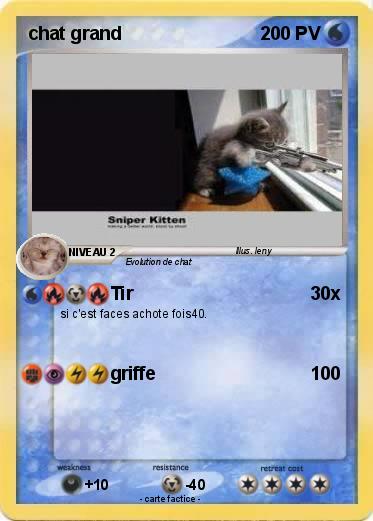 Pokemon chat grand