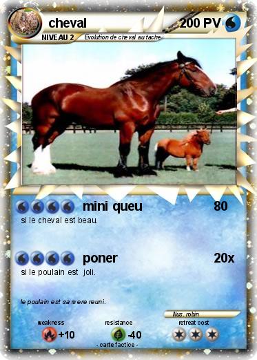 Pokemon cheval