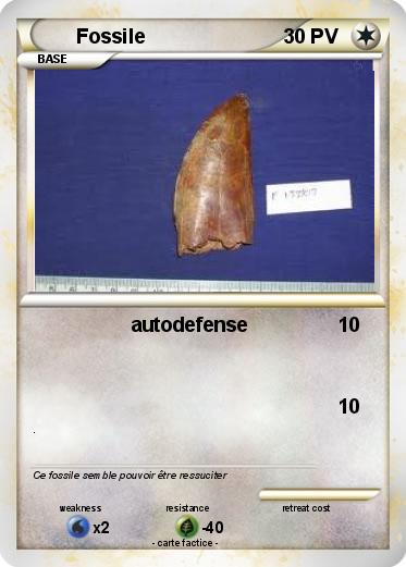 Pokemon Fossile
