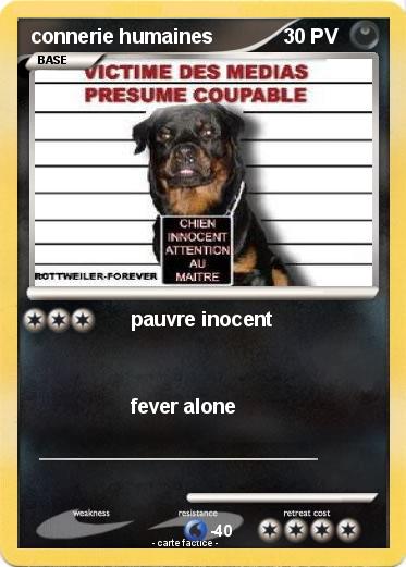 Pokemon connerie humaines