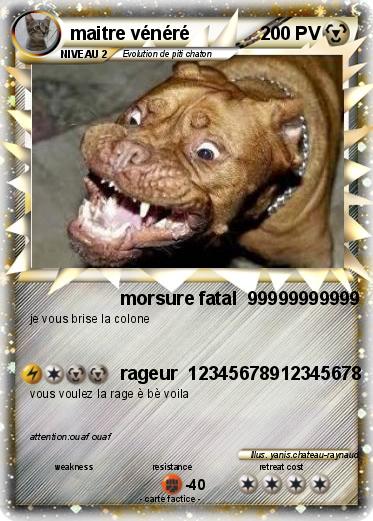 Pokemon maitre vénéré