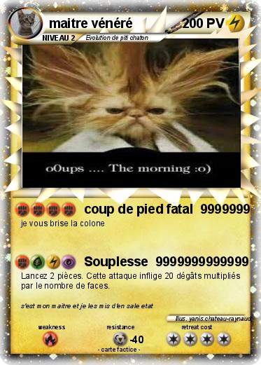 Pokemon maitre vénéré