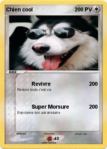 Pokemon Chien cool