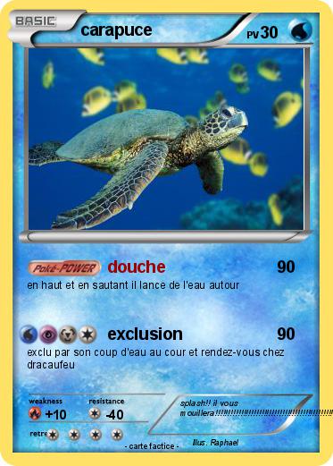 Pokemon carapuce