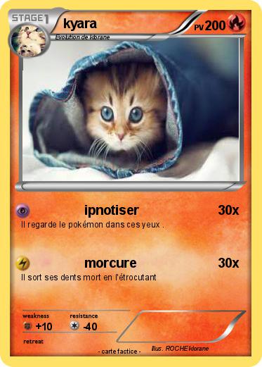 Pokemon kyara