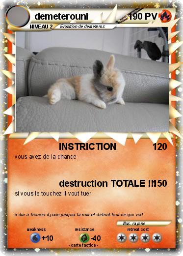 Pokemon demeterouni