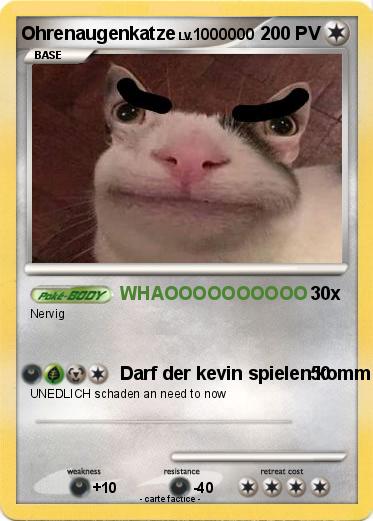Pokemon Ohrenaugenkatze