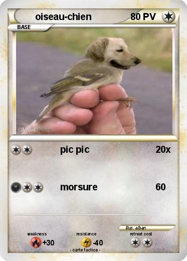 Pokemon oiseau-chien