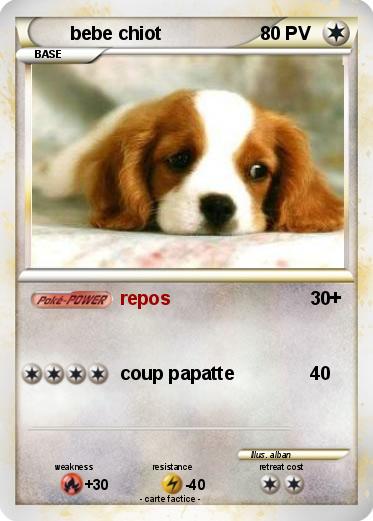 Pokemon bebe chiot