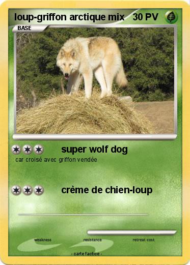Pokemon loup-griffon arctique mix