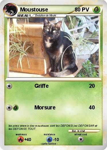 Pokemon Moustouse