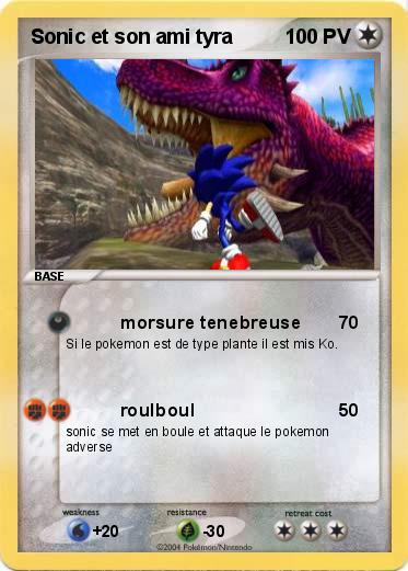 Pokemon Sonic et son ami tyra