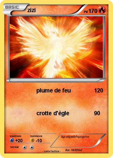 Pokemon zizi
