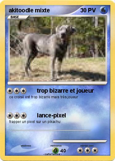 Pokemon akitoodle mixte